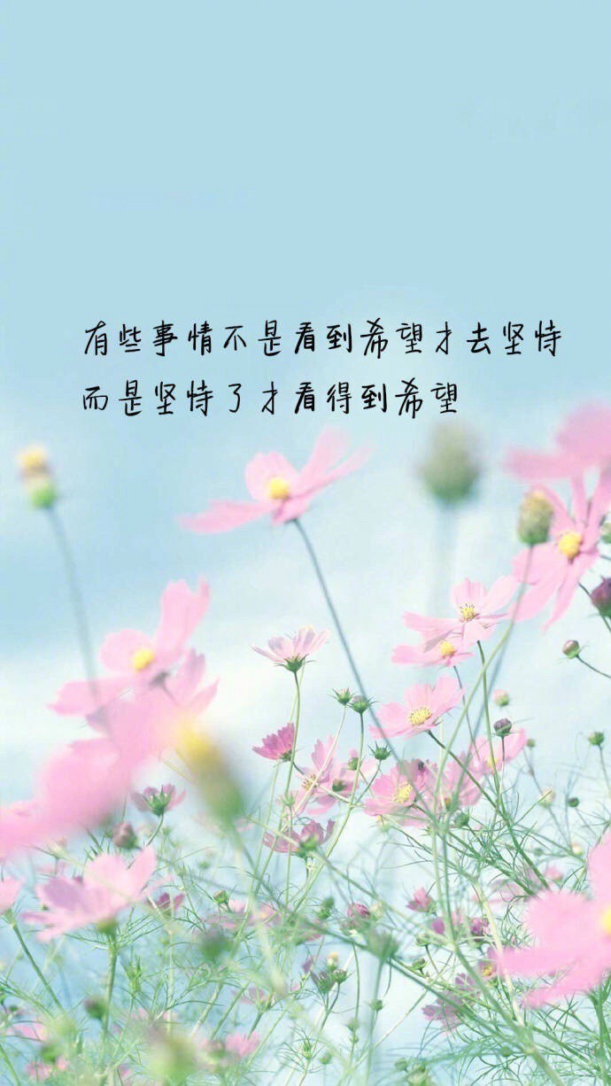 《关于努力与选择的正能量小清新文字》